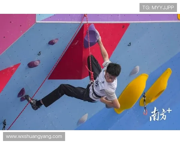 南京攀岩队在全国攀岩状态排行榜中荣获第三名的佳绩引发关注